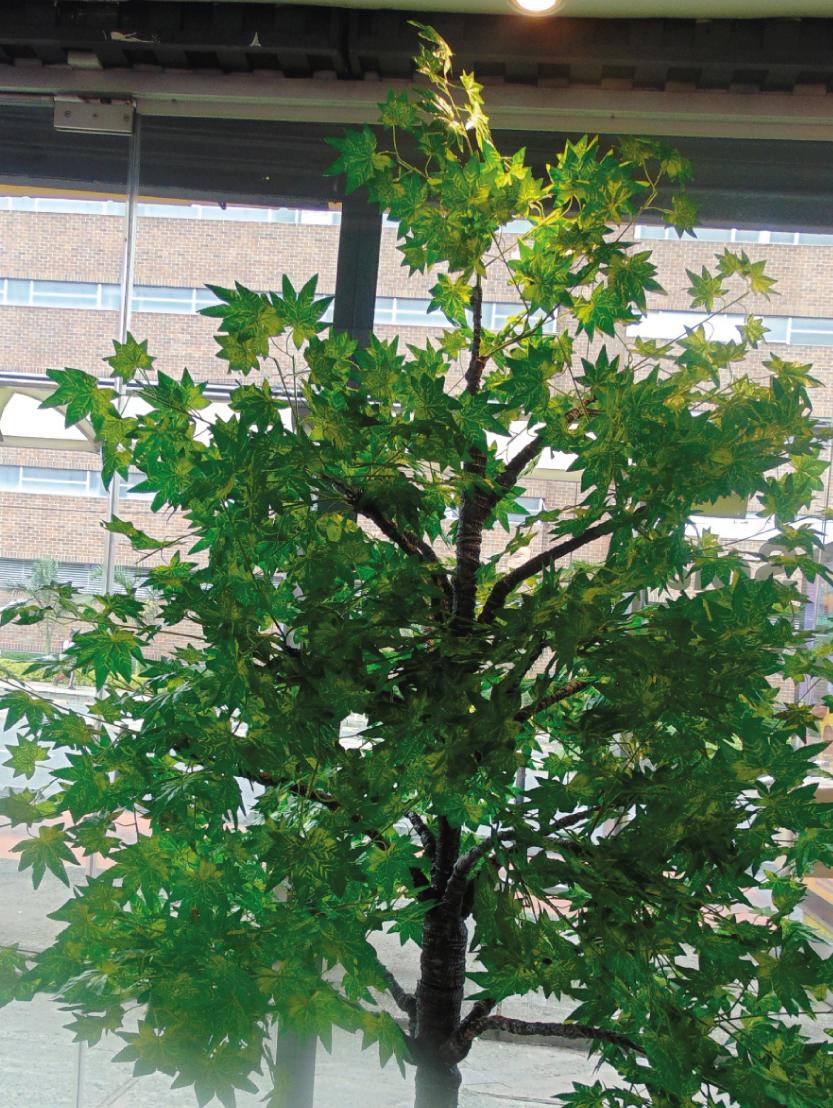 Árbol Pino Verde Hoja Maple 540 hojas Tronco Madera 2 Metros