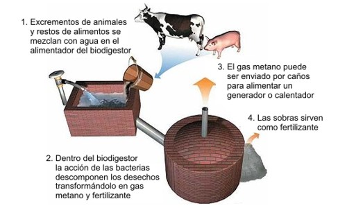 BIOGAS NATURAL: EL BIOCOMBUSTIBLE RENOVABLE Y SOSTENIBLE