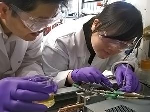 ORINA SIRVE PARA PRODUCIR ENERGÍA RENOVABLE