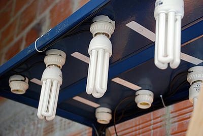 BOMBILLAS AHORRADORAS DEBEN SUSTITUIR A LAS INCANDESCENTES