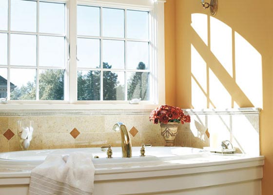 APROVECHE LA LUZ DEL SOL E INCREMENTE EL CONFORT AHORRANDO ENERGÍA