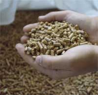 MÁS BIOENERGÍA, MENOS COMBUSTIBLES FÓSILES