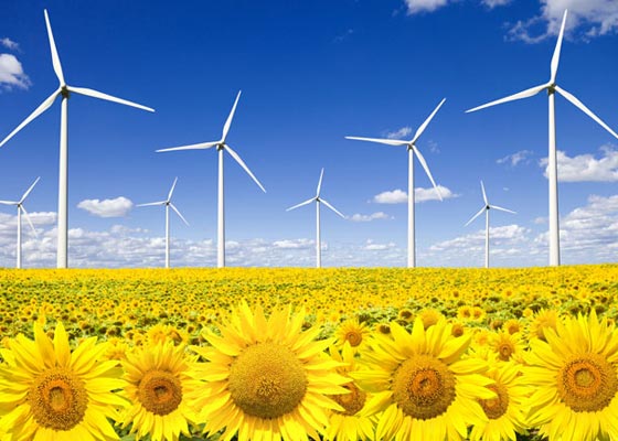 EL 81 POR CIENTO DE LOS ESPAÑOLES APOYA A LAS RENOVABLES, 11 PUNTOS MÁS QUE LA MEDIA EUROPEA