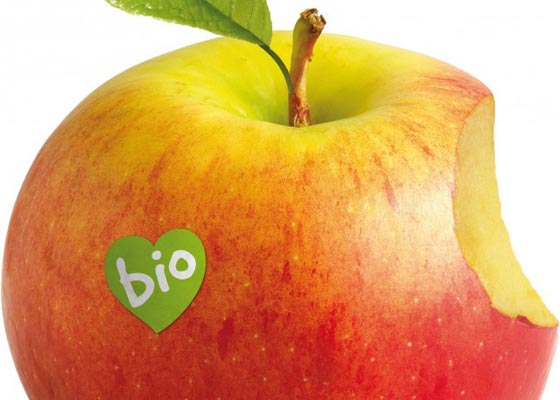 BIOCULTURA VALENCIA CALIENTA MOTORES