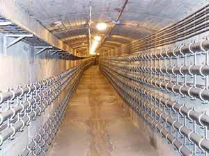 GRAN EJEMPLO DE AHORRO ENDESA INSTALA ILUMINACIÓN LED EN UNA GALERÍA DE BARCELONA PARA AHORRAR 80 POR CIENTO DE ENERGÍA, NO LO QUIERES HACER TU TAMBIÉN?