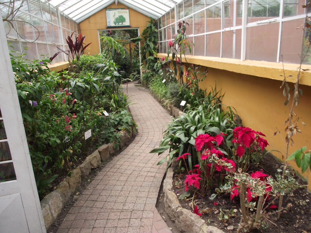 EL JARDÍN BOTANICO DE BOGOTÁ PRODUCIRA SU PROPIA ENERGÍA