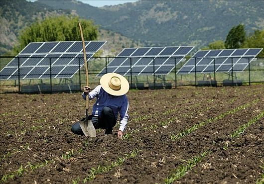 ENERGÍAS RENOVABLES: ENERGÍA SOLAR FOTOVOLTAICA PARA LA AGRICULTURA EN CHILE