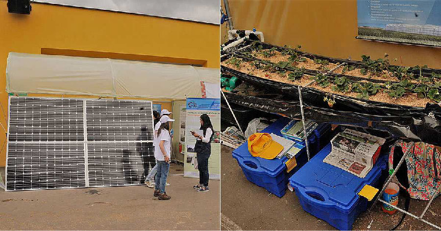 ENERGÍA SOLAR PARA PRODUCIR FRESAS