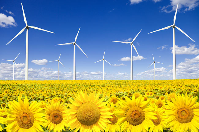 EÓLICA YA GENERA EL 8 POR CIENTO DE LA ELECTRICIDAD CONSUMIDA EN EUROPA