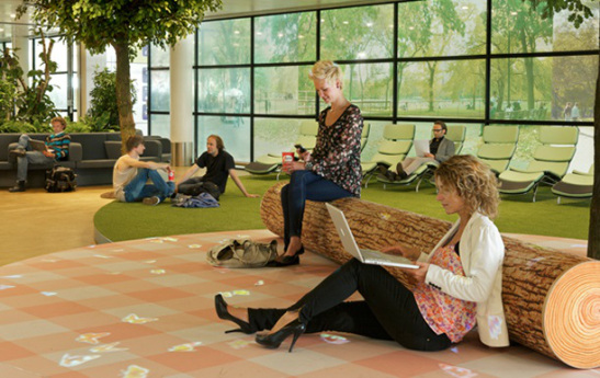 ENERGÍA SOLAR Y TECHOS VERDES AEROPUERTOS HOY