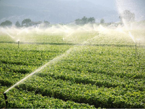 AGRICULTURA COSECHA ÉXITOS DE ENERGÍA SOLAR -CHILE-