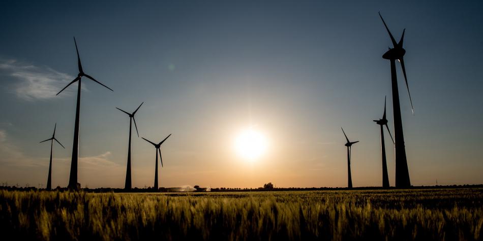 EL MOMENTO DE LAS ENERGÍAS RENOVABLES