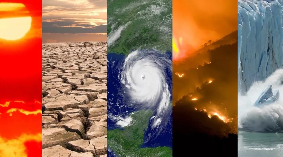 Más de 11.000 científicos declaran la emergencia climática en todo el planeta