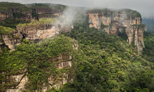 Colombia será la sede del día mundial del medio ambiente