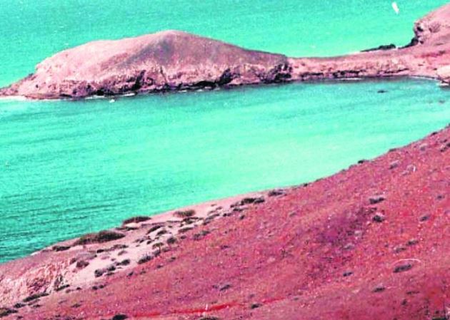 Generación de energía eólica también se haría en el mar