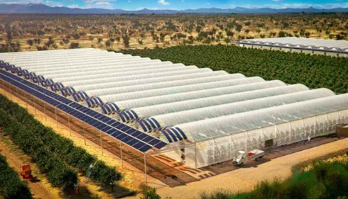 Granja solar produce 17,000 toneladas de comida sin pesticidas, combustibles fósiles o aguas subterráneas. ¡Tampoco dañan el suelo!