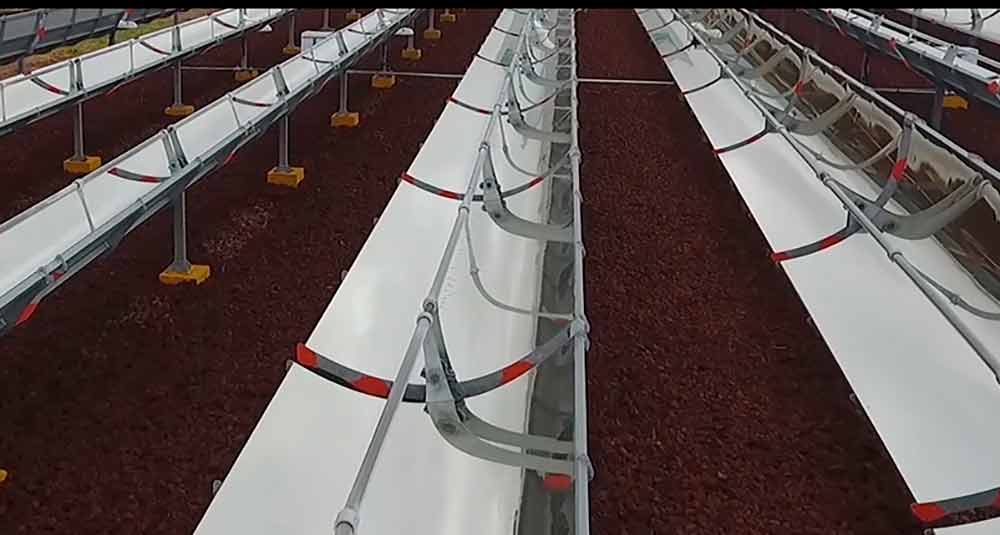 Energía solar clave para reducir costos: Inventive Power