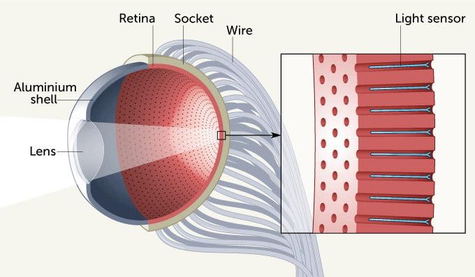 Crean un ojo robótico que funciona con energía solar y replica la retina humana