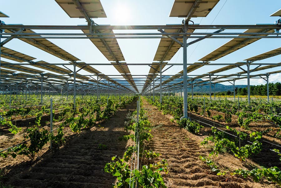 Un sector agroganadero más rentable y resiliente al cambio climático gracias a la fotovoltaica