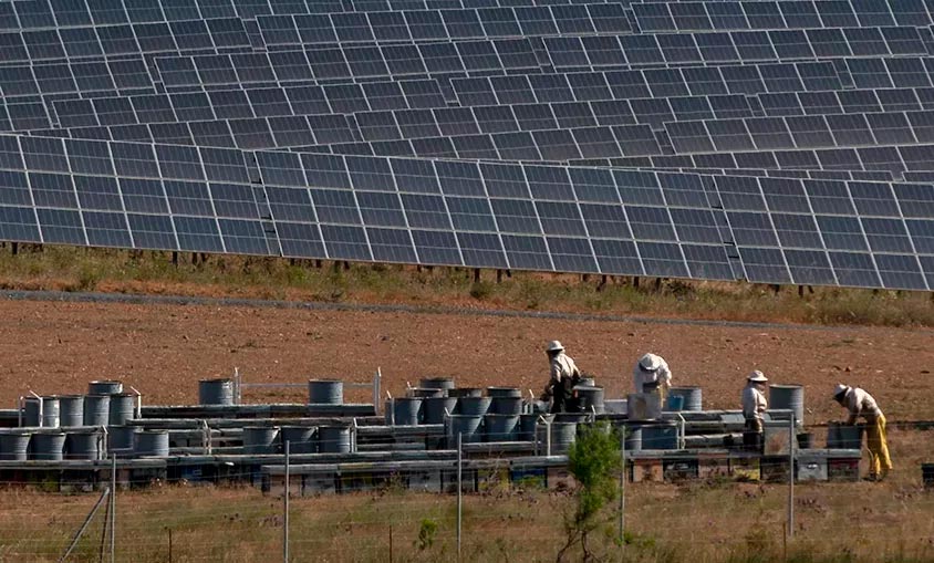 Iberdrola recoge la producción de miel solar del colmenar fotovoltaico más grande del mundo