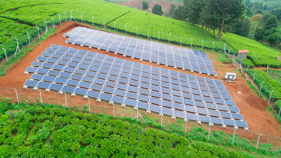 La energía solar hace simbiosis con un sector agrario cada vez más verde