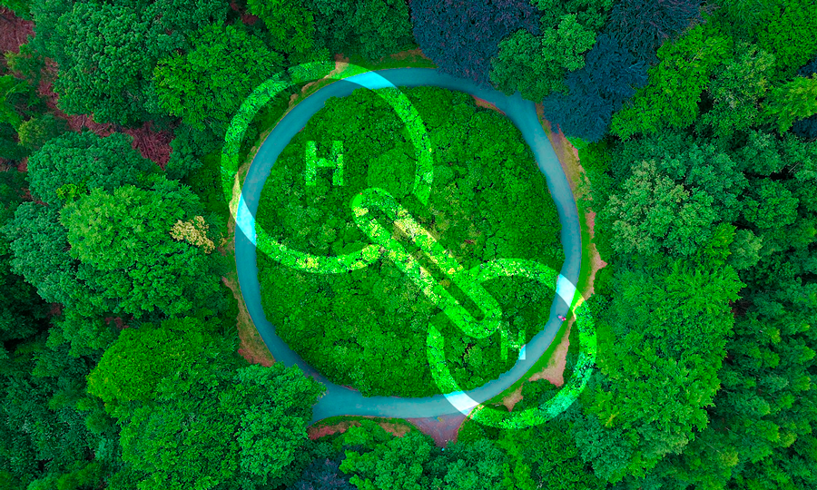 Presidente Piñera impulsa plan de acción para que Chile sea líder mundial en hidrógeno verde