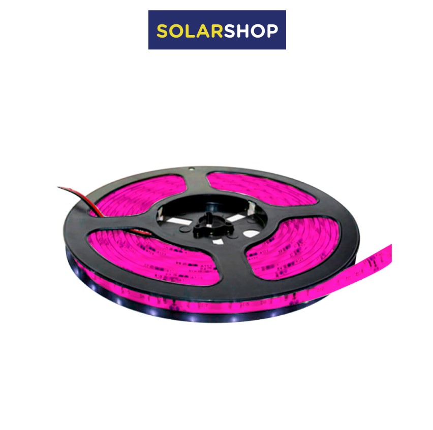 CINTA LED 12V 5050 IP65 FUCSIA ROLLO x 5M