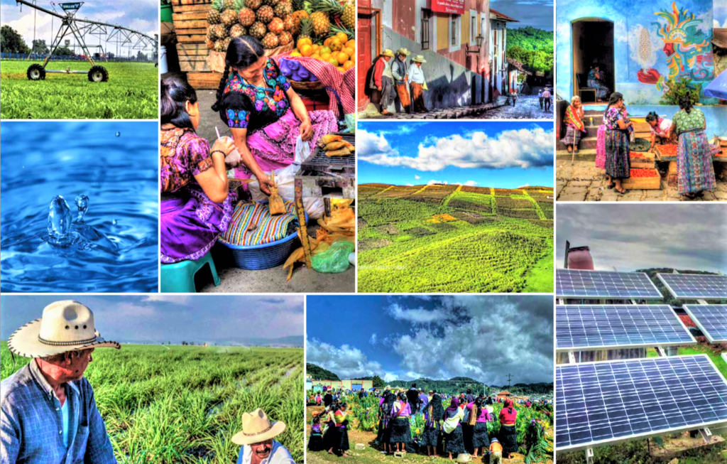 La CEPAL analiza cómo atraer inversiones hacia las renovables en Latinoamérica