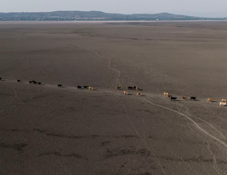 “Soluciones climáticas” para que América Latina supere el reto de adaptarse a la crisis ambiental