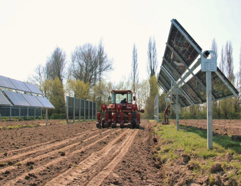 Las instalaciones agrovoltaicas con seguidores de un eje tienen un LCOE inferior a las de estructura fija