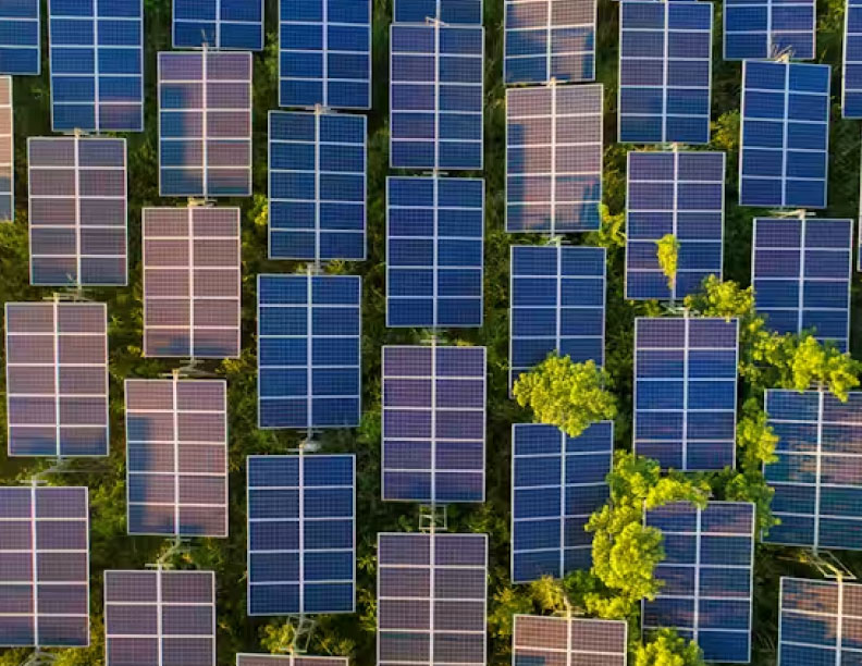 Así impulsan las organizaciones sociales la energía solar en Estados Unidos