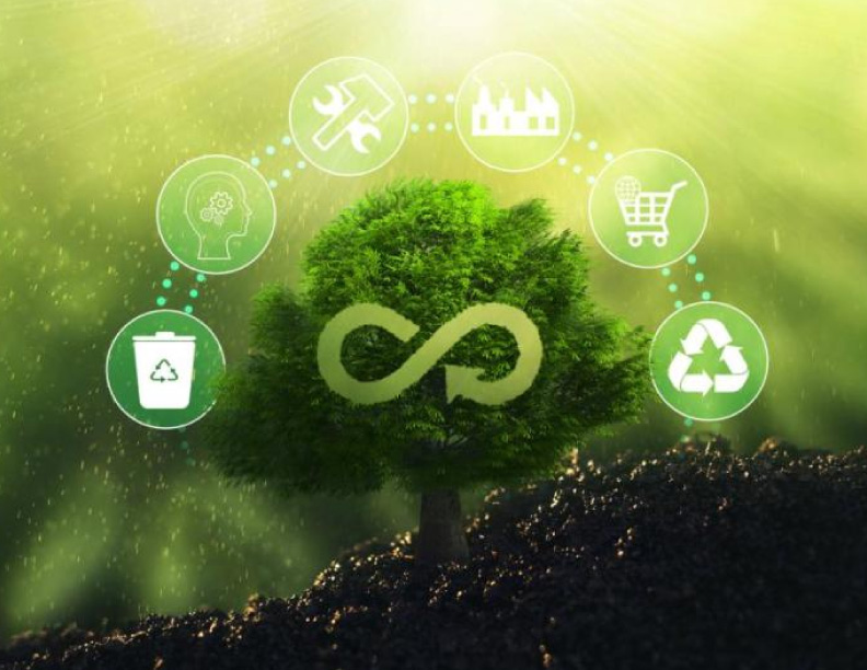 ¿Latinoamérica tiene potencial para una transición verde?