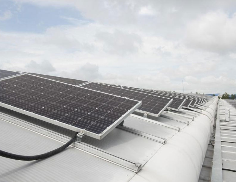 Instalan un sistema renovable de energía eléctrica en granja avícola