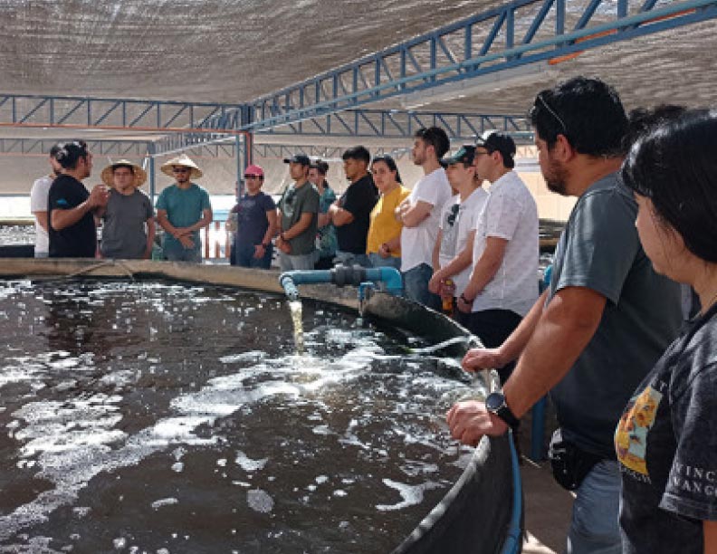 Proyectos 100 por ciento con energía solar impulsan la producción de agricultura y acuicultura en el norte de Chile