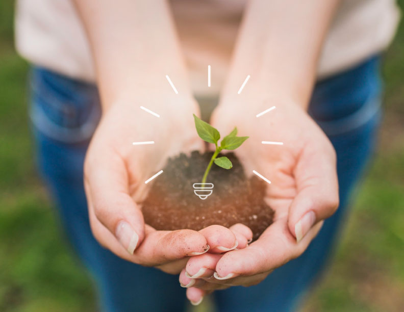 Cinco actividades educativas para celebrar el Día Mundial de la Educación Ambiental