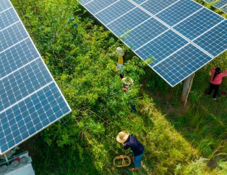 ¿Qué están haciendo las potencias en pos de la transición energética?