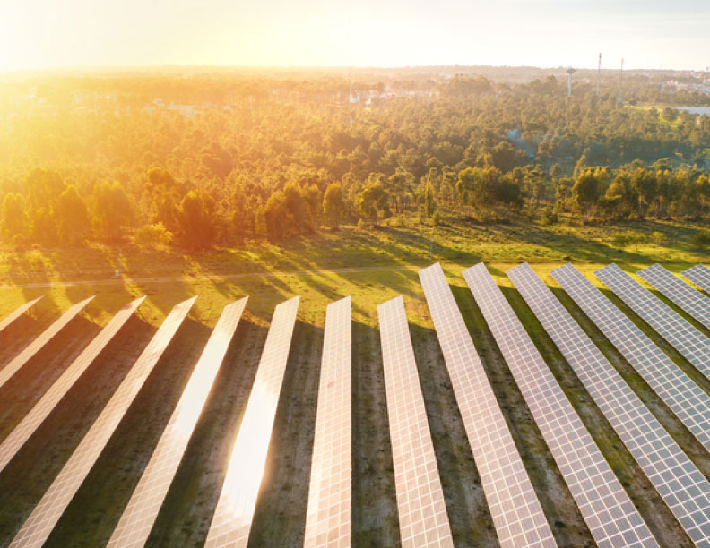 Las empresas dicen ‘sí’ a la fotovoltaica