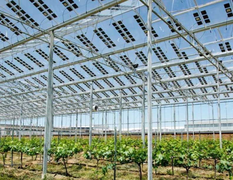 Placas solares transparentes, una solución perfecta para invernaderos