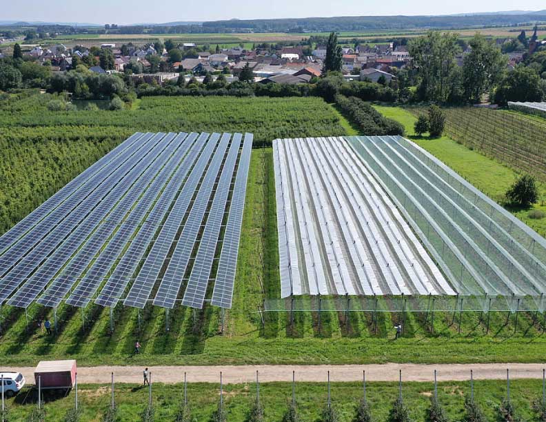 La gran mayoría de los agricultores alemanes están dispuestos a adoptar la agrovoltaica