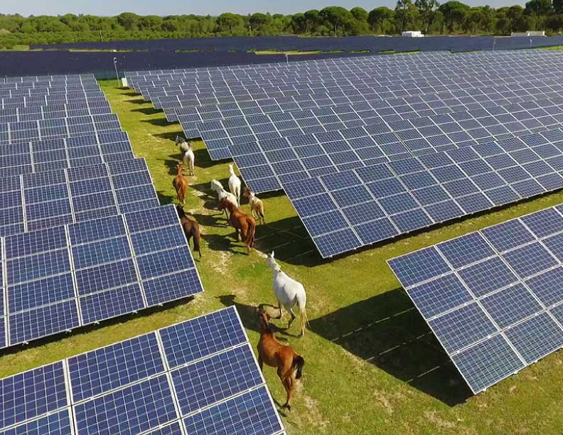 La eléctrica portuguesa dice que las energías renovables cubrieron el 91 por ciento de la demanda en marzo