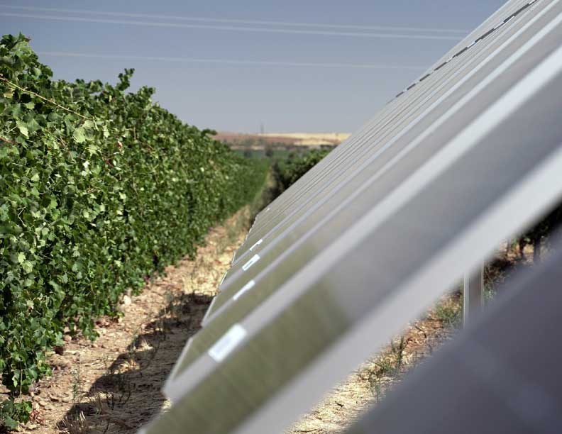 La fotovoltaica pide medidas para que España pueda seguir aprovechando la ventaja competitiva del autoconsumo