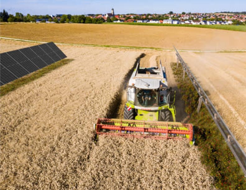 Los campos y el sol: la fotovoltaica agrícola, una oportunidad para la energía y la industria agraria