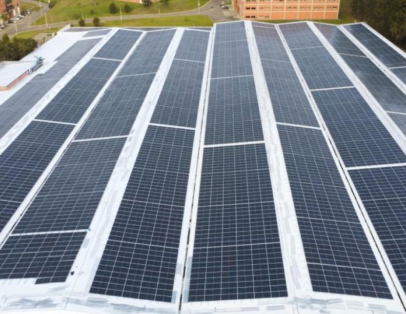 Más que energía: los usos que le puede dar a sus paneles solares