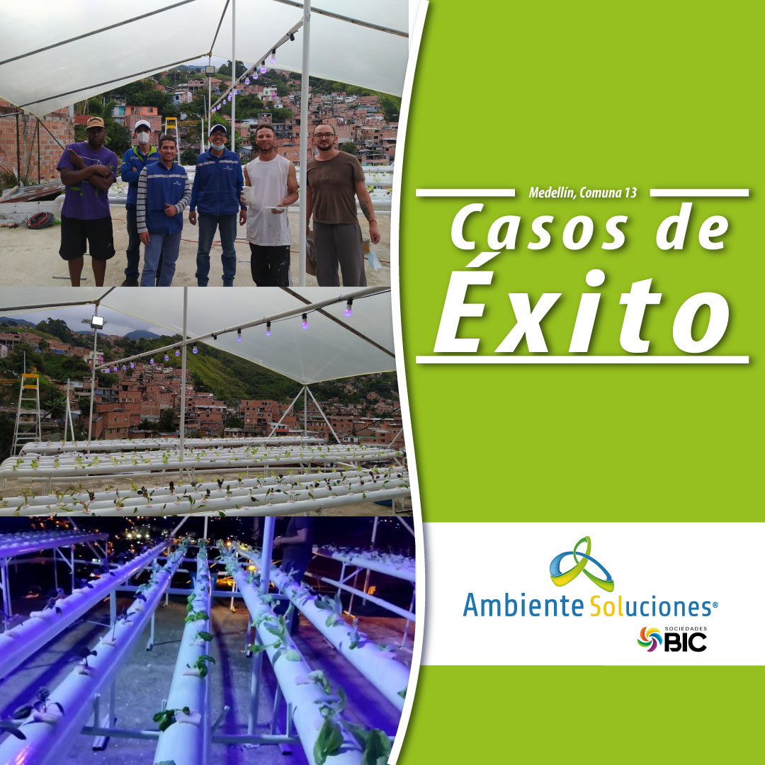 Proyecto terrazas verdes en la  Comuna 13 - Medellín, Antioquia.